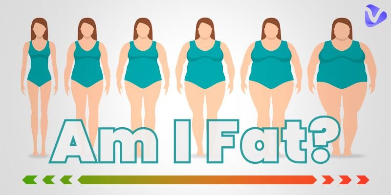 The Hidden Perils of “YouTube Fat Age”: Why Excessive Screen Time Is More Dangerous Than You Think The Hidden Perils of “YouTube Fat Age”: Why Excessive Screen Time Is More Dangerous Than You Think